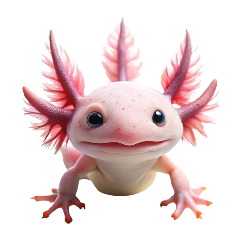 A close-up image of a vibrant pink axolotl swimming gracefully in clear water, showcasing its feathery gills and playful expression. The background features a natural aquatic environment with plants and rocks, highlighting the axolotl's unique features and habitat.